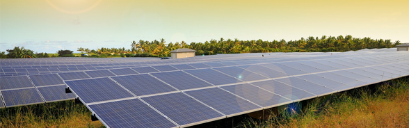 Panneaux solaires dans un champ